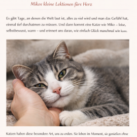„Warum Katzen uns Menschen so gut tun – Mikos kleine Lektionen fürs Herz“